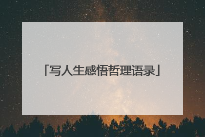 写人生感悟哲理语录