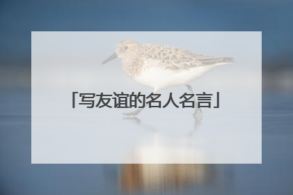 写友谊的名人名言