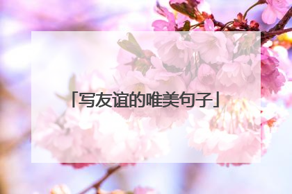 写友谊的唯美句子