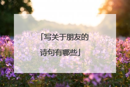 写关于朋友的诗句有哪些