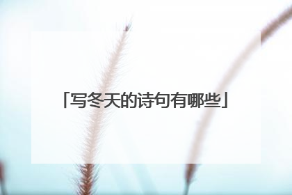 写冬天的诗句有哪些