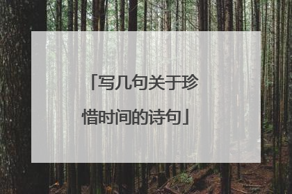 写几句关于珍惜时间的诗句