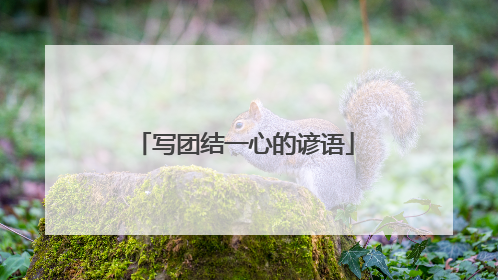 写团结一心的谚语