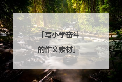写小学奋斗的作文素材