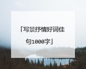 写景抒情好词佳句1000字