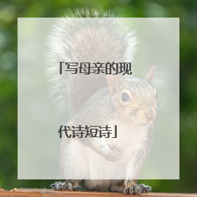 写母亲的现代诗短诗