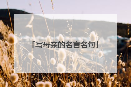 写母亲的名言名句