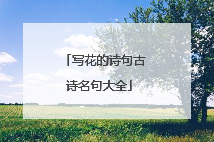 写花的诗句古诗名句大全