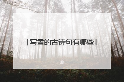写雪的古诗句有哪些