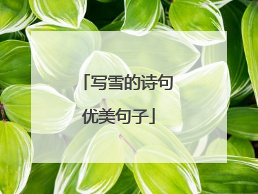 写雪的诗句优美句子