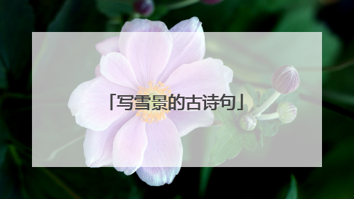 写雪景的古诗句