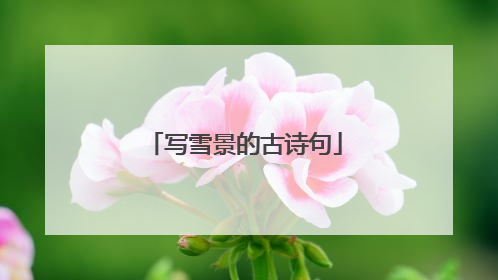 写雪景的古诗句
