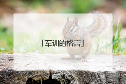 军训的格言