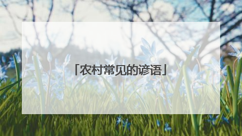 农村常见的谚语