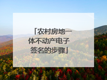农村房地一体不动产电子签名的步骤