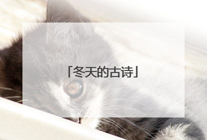 冬天的古诗