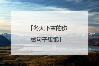 冬天下雪的伤感句子集锦