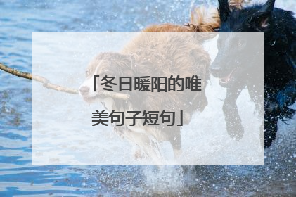 冬日暖阳的唯美句子短句