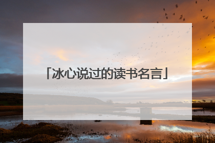 冰心说过的读书名言