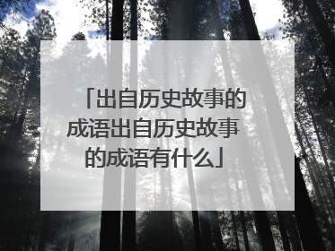 出自历史故事的成语出自历史故事的成语有什么
