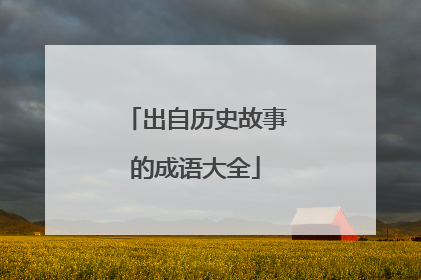 出自历史故事的成语大全