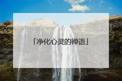 净化心灵的禅语
