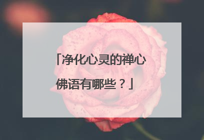 净化心灵的禅心佛语有哪些?