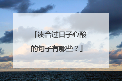 凑合过日子心酸的句子有哪些?