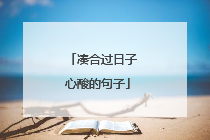 凑合过日子心酸的句子