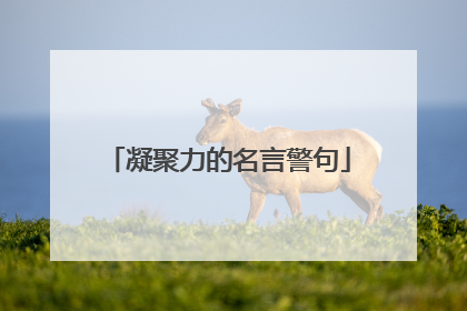 凝聚力的名言警句