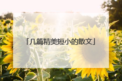 几篇精美短小的散文