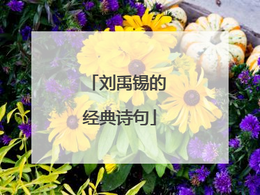 刘禹锡的经典诗句