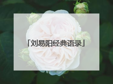 刘易阳经典语录