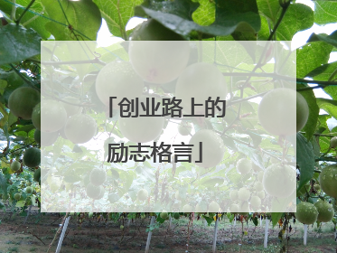 创业路上的励志格言