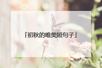 初秋的唯美短句子