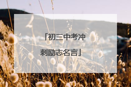 初三中考冲刺励志名言