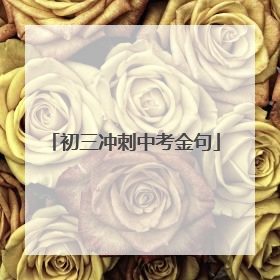 初三冲刺中考金句