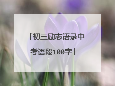初三励志语录中考语段100字