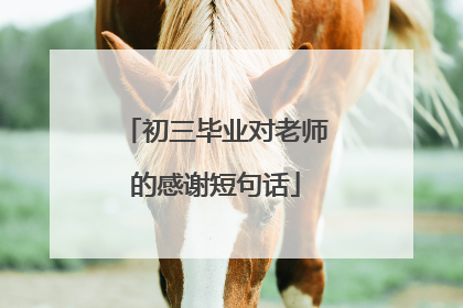 初三毕业对老师的感谢短句话