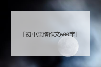 初中亲情作文600字
