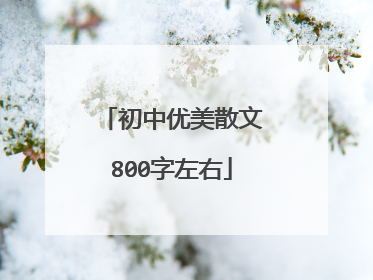 初中优美散文800字左右