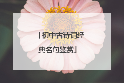 初中古诗词经典名句鉴赏