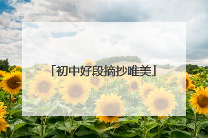 初中好段摘抄唯美