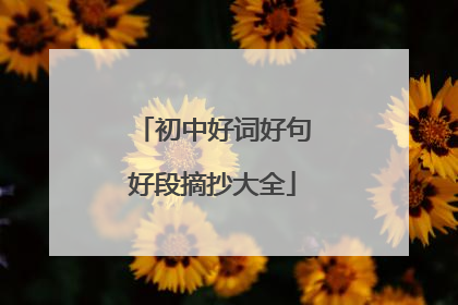 初中好词好句好段摘抄大全