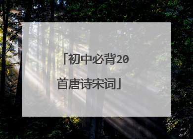 初中必背20首唐诗宋词