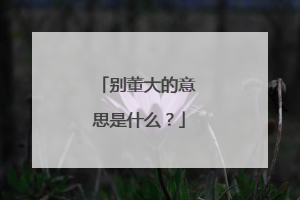 别董大的意思是什么?