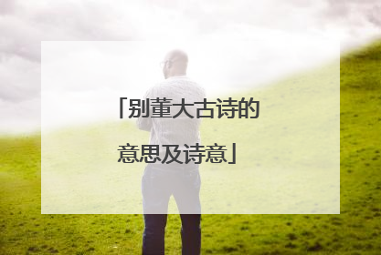 别董大古诗的意思及诗意