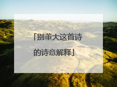 别董大这首诗的诗意解释