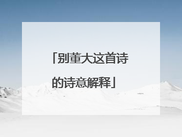 别董大这首诗的诗意解释