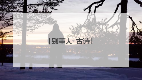 别董大 古诗